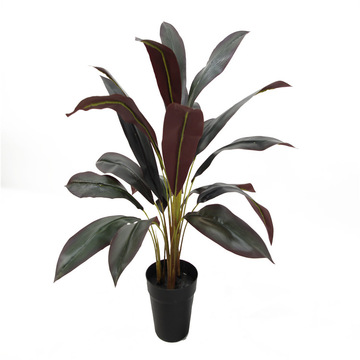 仿真绿植朱蕉仿生假植物装饰巴西铁办公装饰室内外摆件大型产品