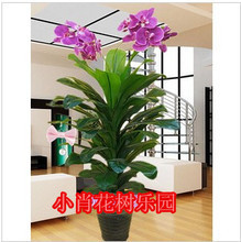 【塑料花假花蝴蝶兰】最新最全塑料花假花蝴蝶兰 产品参考信息